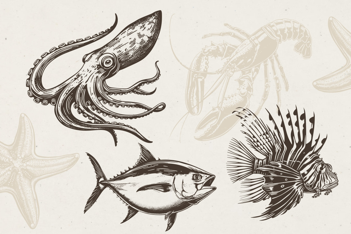 340 Sea Creatures illustrations, an Animal Illustration by Nocturnal Wolf (Photo 6 of 15)