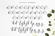 Maryam - Elegant Calligraphy Font, a Script Font by Imiftype Studio (Thumbnail 9 of 10)