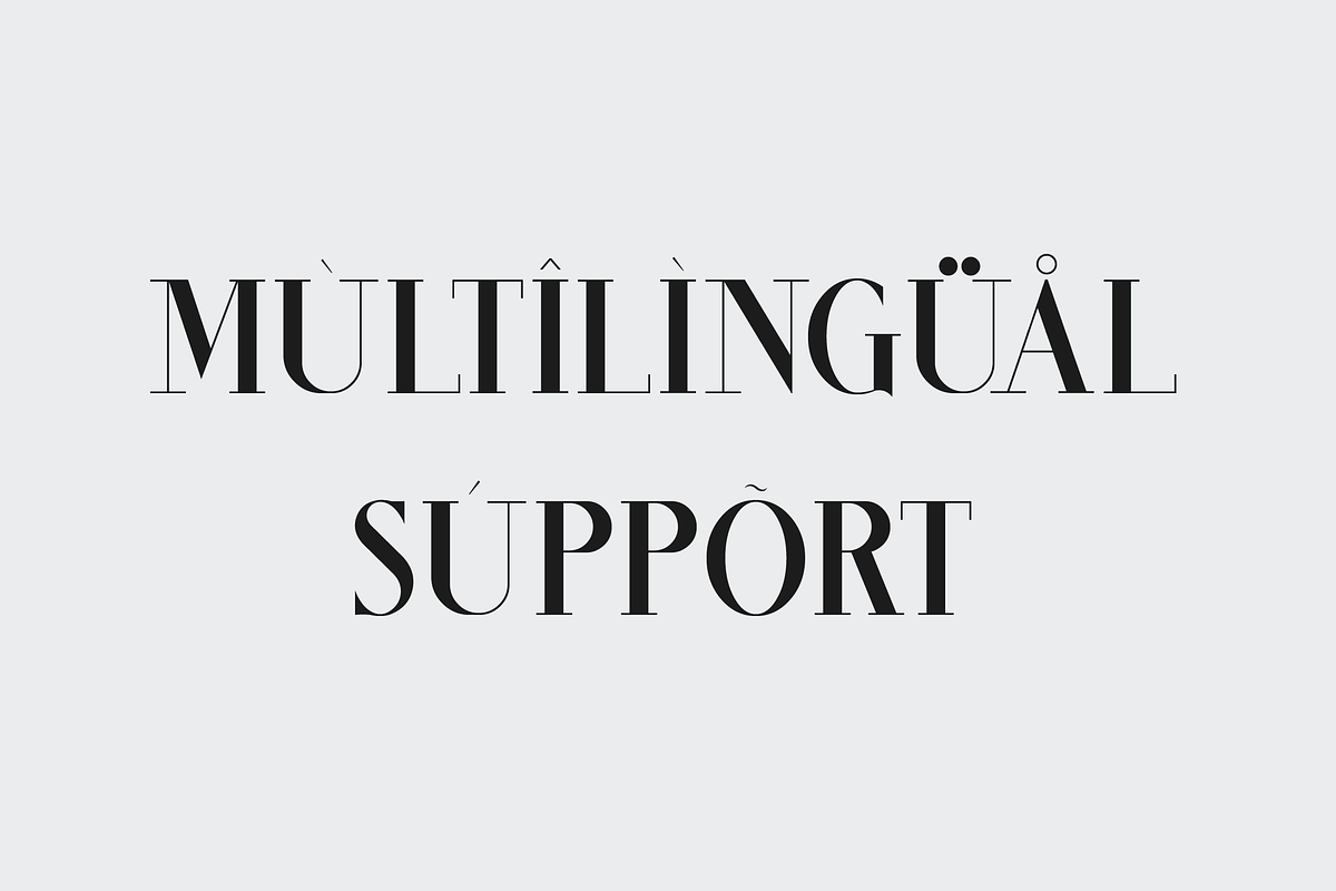 Cintary Modern Serif Font, a Serif Font by Maryamtype Studio (Photo 11 of 15)
