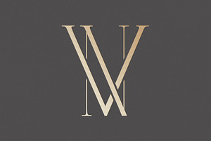 VN Monogram Logo