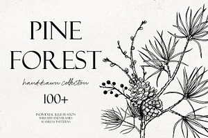 Pine forest line art collection, an Illustration by AfonshinaArt