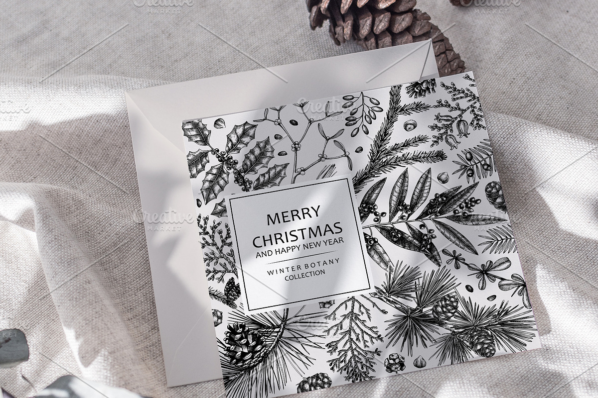 Winter Plants Set. Christmas Designs, a Seasonal Illustration by Yevheniia (Photo 5 of 13)