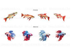 Tropical Fish Clipart, Betta, Guppy