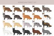 Norwegian Forest cat clipart, an Animal Illustration by pet design shop (Thumbnail 2 of 6)