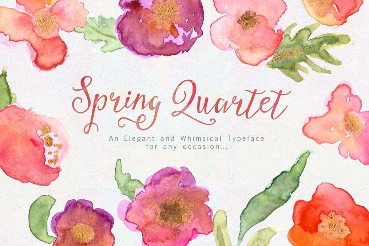 Stringfellows Typeface, a Script Font by Nicky Laatz (Photo 5 of 5)