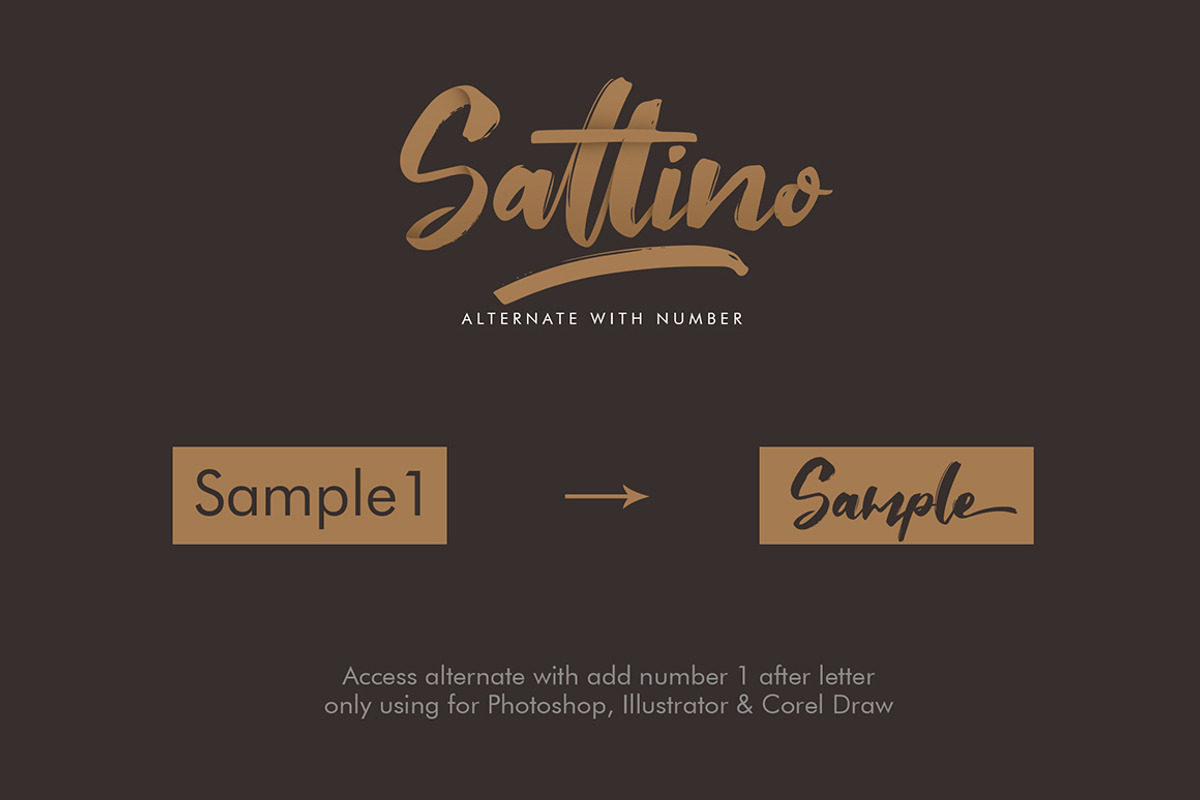 Saltino Script preview 6