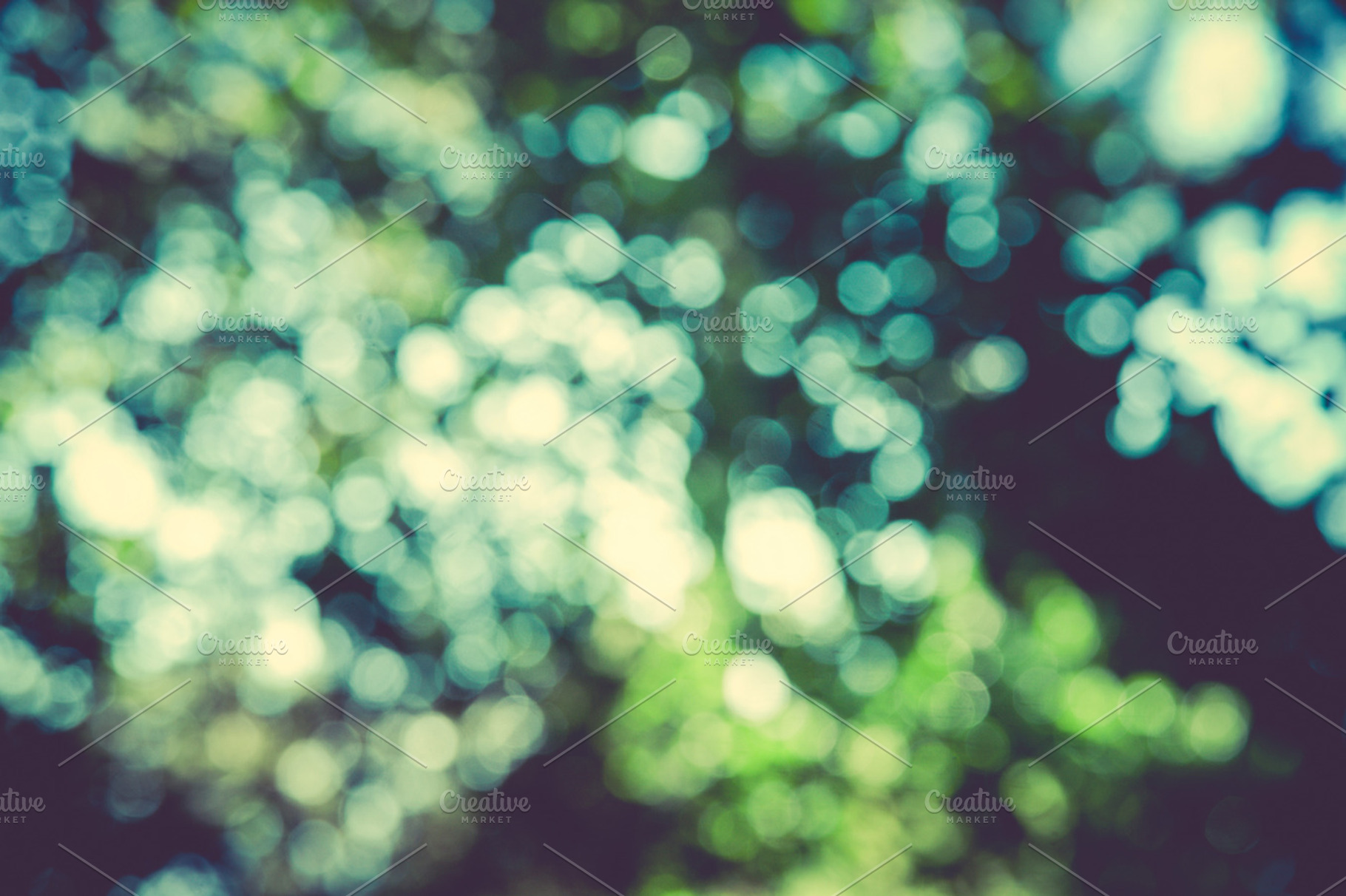 Iseeyouphoto forestbokeh 2 containing forest, trees, and green