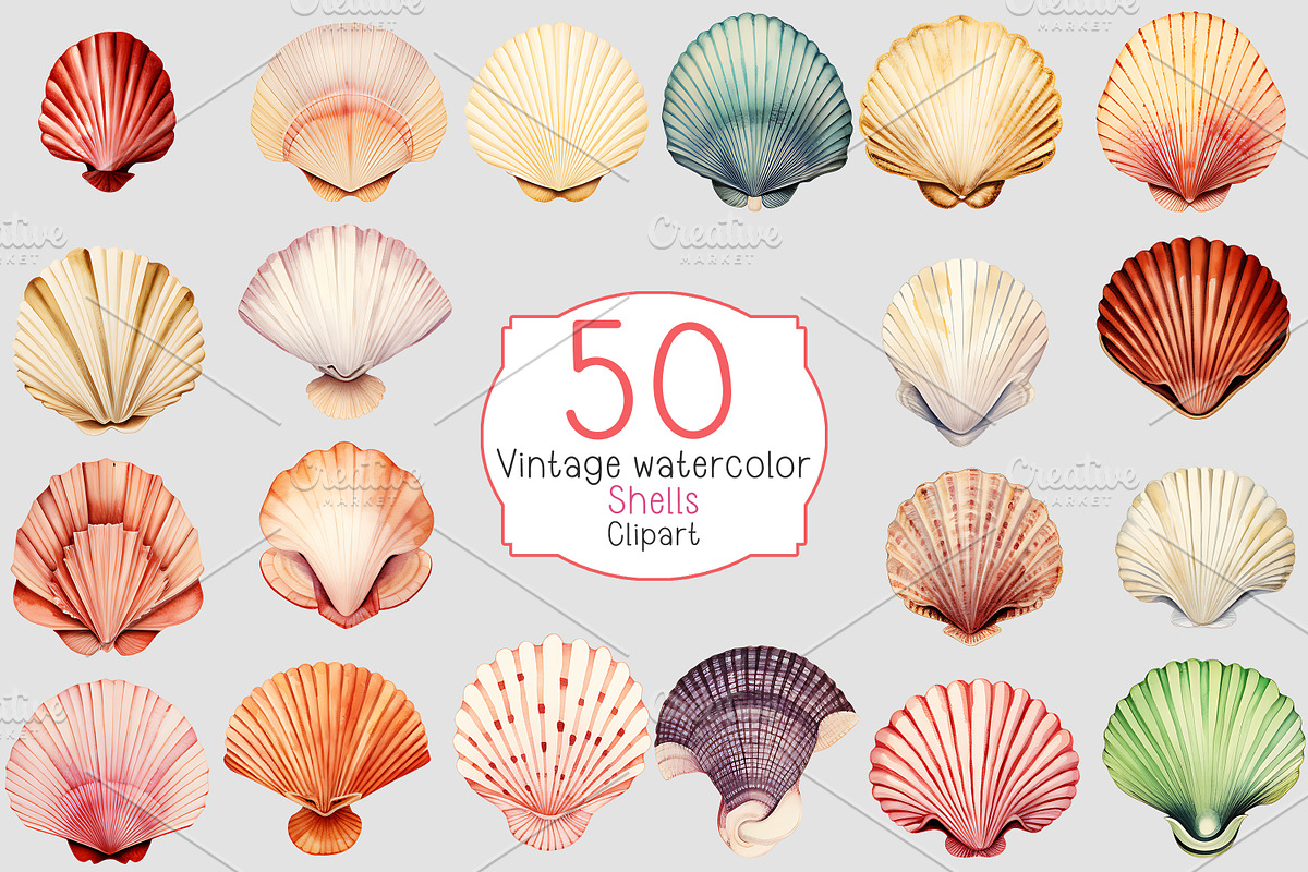 Vintage watercolor shells clipart, a Decorative Illustration by Shahjahangdb1 (Photo 1 of 2)