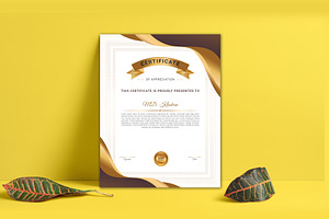 Modern Certificate Design Template