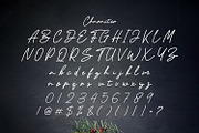 Artemay Bright - Signature Font, a Script Font by StringLabs (Thumbnail 8 of 9)