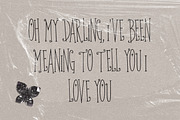 Honey October Sparkle Serif Font, a Serif Font by The October Creative (Thumbnail 6 of 8)