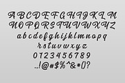 Anghones - Script Font, a Script Font by Maculinc Type (Thumbnail 9 of 9)