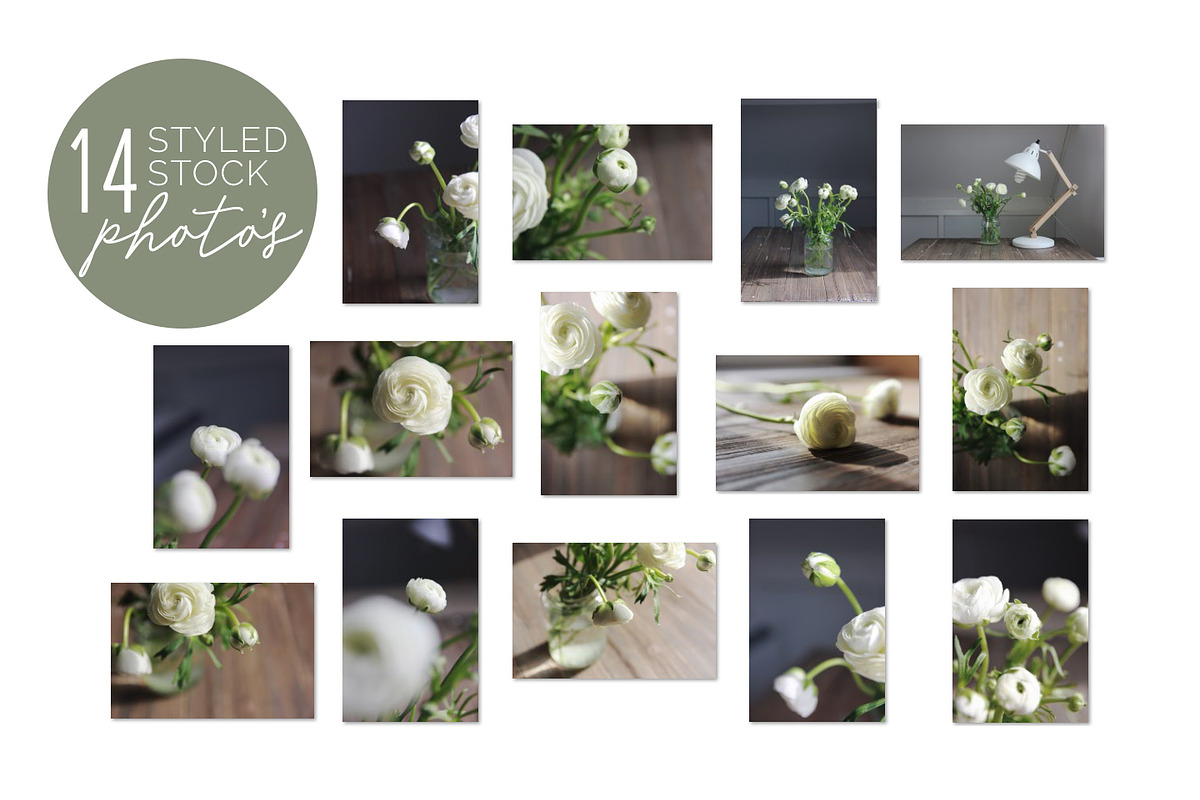 Stock photos, Moody white flower, a Print Template by Angele Kamp (Photo 6 of 6)