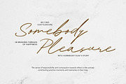 Diana William - Elegant Signature, a Script Font by Bale Type (Thumbnail 4 of 10)