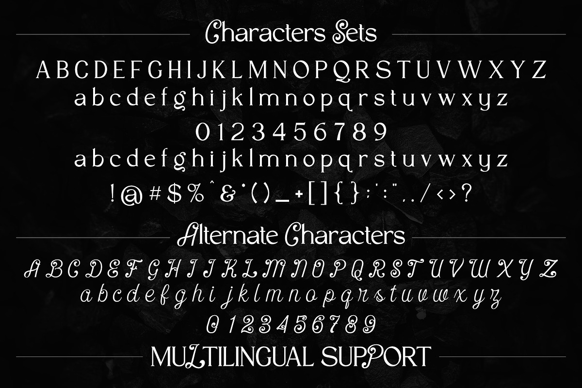 VT Salemore Longest Font Combination, a Serif Font by ViactionType (Photo 6 of 13)