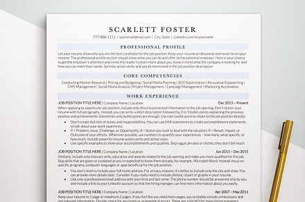 ATS Friendly Executive Resume / CV, a Resume Template by BestResumes.Co