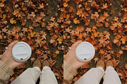 15 Vibrant Fall Lightroom Presets, a Preset Add-On by TheWayfarerShoppe (Thumbnail 4 of 9)