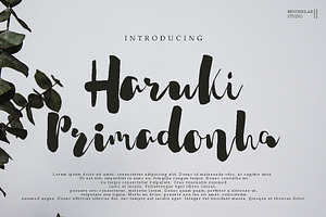 Haruki Primadonha