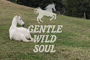 Artisan Touch Vintage Pixel Font, a Serif Font by AnMark (Thumbnail 8 of 10)