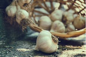 Close-up of fresh garlic bulb on, a Food & Drink Photo by Rohan Photography