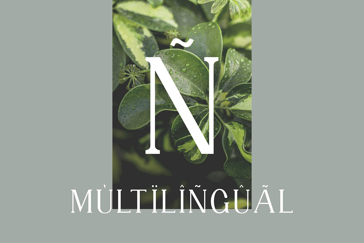 GRATTE Ligature Serif Font, a Serif Font by Humaira_std (Photo 9 of 10)
