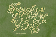 Hedge Rose Decorative Floral Script, a Script Font by AnMark (Thumbnail 10 of 10)