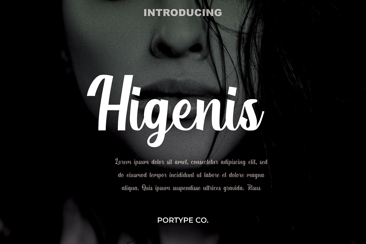 Higenis, a Script Font by portype (Photo 1 of 6)
