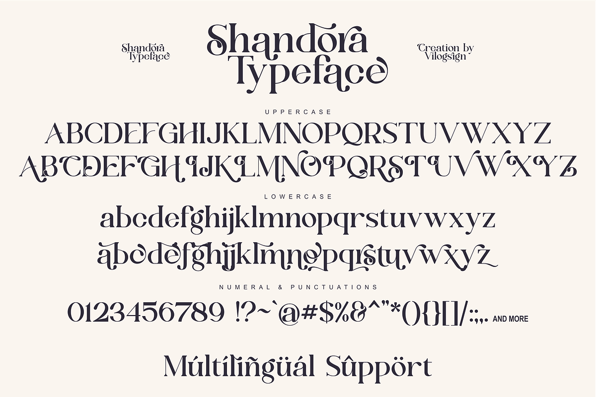 Shandora a Modern Serif Font, a Serif Font by Vilogsign (Photo 14 of 15)