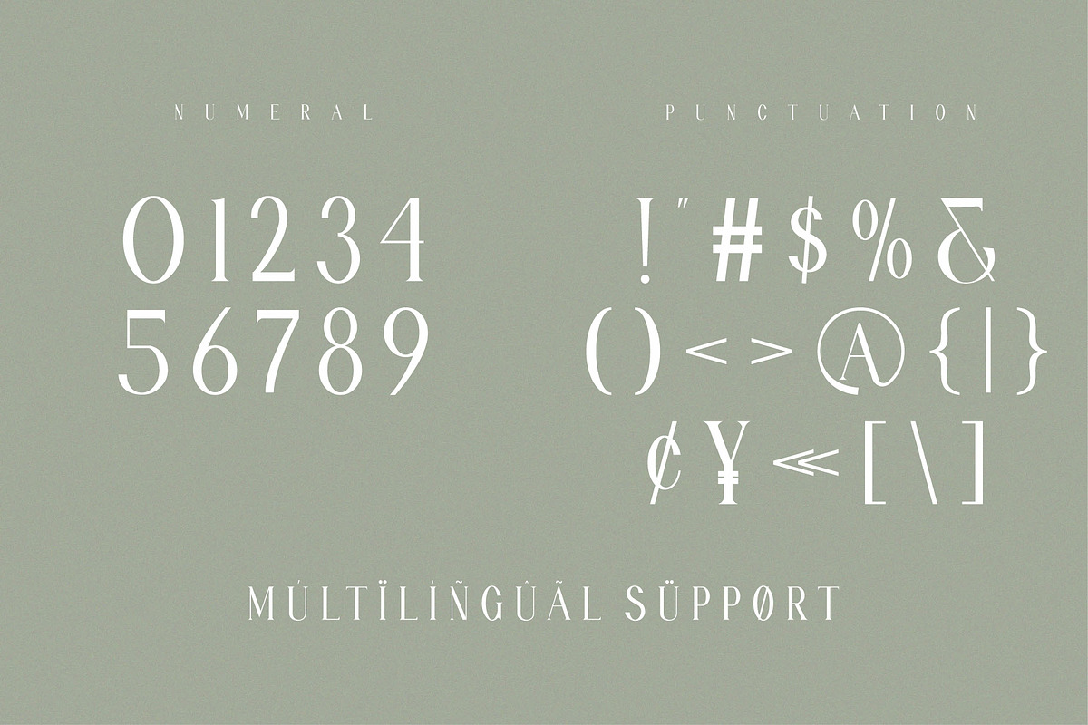 ARSTHEN Ligature Serif Typeface, a Serif Font by Alfinart (Photo 7 of 10)
