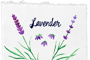 Watercolor pack Flower garden, an Object Graphic by Elishamelisha (Thumbnail 3 of 7)