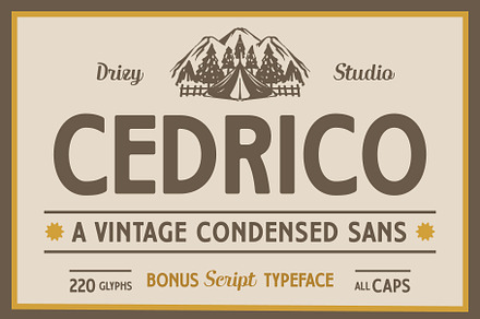 Cedrico – Vintage Condensed Sans, a Sans Serif Font by Drizy