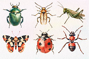 Vintage Insect Sublimation Clipart, an Illustration by Dream Creation (Thumbnail 2 of 7)