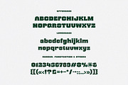 Mibery Retro Bold Serif, a Serif Font by Cruzine (Thumbnail 7 of 10)