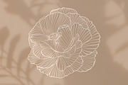 Whimsical Flowers Collection, a Decorative Illustration by ilonitta (Thumbnail 9 of 12)