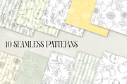 Herbs & Fruits hand drawn collection, an Object Illustration by Garden in frame (Thumbnail 9 of 9)
