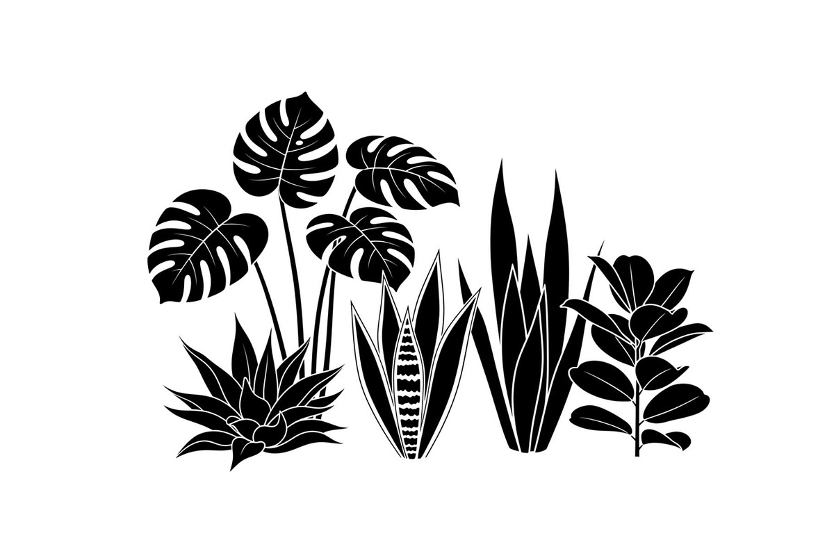 Minimal Botanical Leaf Silhouette Bu, an Illustration by Creativeshirt (Photo 36 of 51)