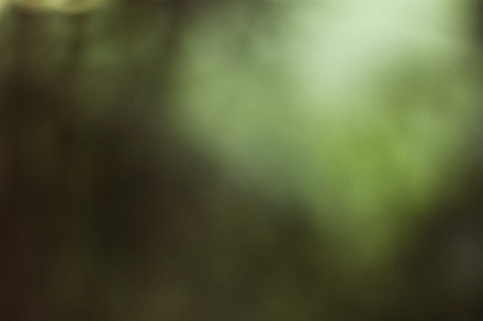Nature Out-Of-Focus