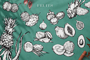 Tropica Collection, a Seasonal Illustration by Michael Rayback Design (Thumbnail 7 of 15)