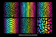 Rainbow Animal Print Digital Paper, a Pattern Graphic by Chromolume Studio (Thumbnail 5 of 39)