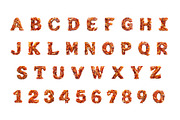 Turkey Feather 3D Font, a Font by Loudoun Design Co. (Thumbnail 2 of 6)