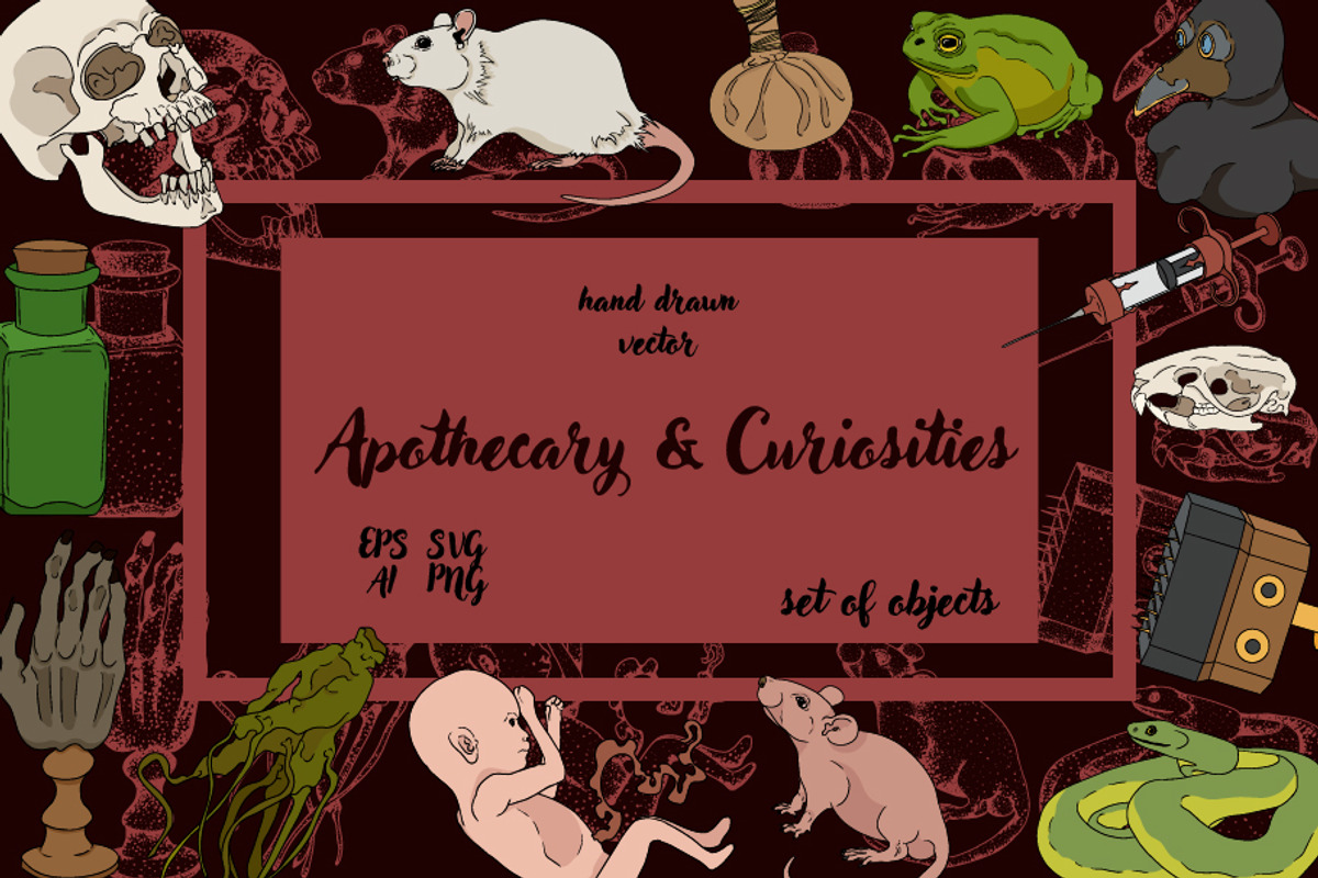 Apothecary & Curiosities vector, an Object Illustration by Elena Mykhailenko (Photo 1 of 7)