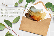 Watercolor Boho Background clipart, an Illustration by Libby Wishes (Thumbnail 5 of 7)