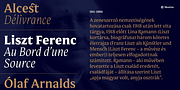 Mestiza, a Serif Font by Lechuga Type (Thumbnail 13 of 16)