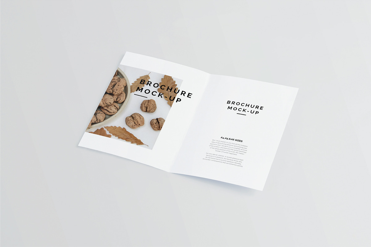 Bi-Fold A4 Brochure Mock-up, a Print Template by Mockstore (Photo 6 of 11)