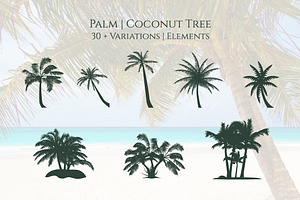 Coconut Palm Tree Silhouette Element