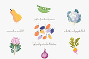Watercolor vegetable clipart set, a Decorative Illustration by Patishop Art (Thumbnail 2 of 8)