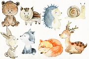 70% off. Bundle. Woodland animals., an Animal Illustration by TaPilipa (Thumbnail 32 of 38)