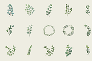 60 Watercolor Eucalyptus PNG Clipart, a Graphic by Graphicspixel (Thumbnail 5 of 10)