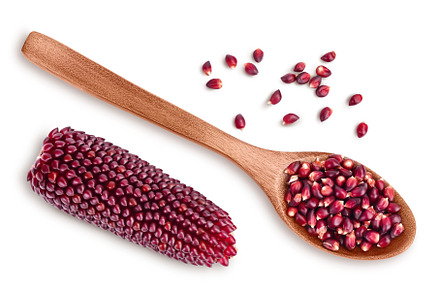 Purple corn seeds in wooden spoon, a Food & Drink Photo by NataPhoto