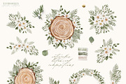 Evergreen Watercolor Forest, an Animal Illustration by Julia Dreams (Thumbnail 7 of 10)